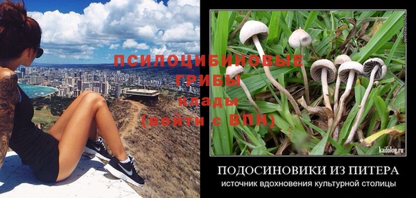 бутик Аркадак