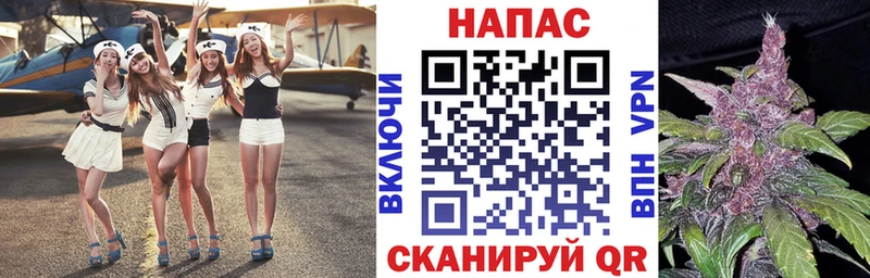 Конопля OG Kush  где можно купить   Кирово-Чепецк 